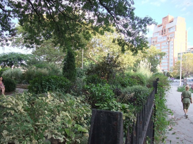 trees in mccarren park