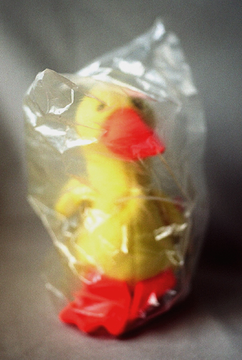 "Forever #6 (duck)" 2003