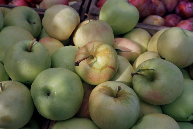 community gardens green apples