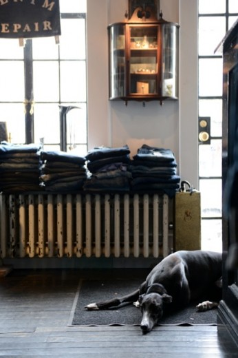 loren denim shop interior