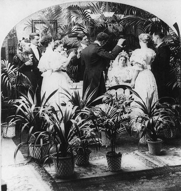 Victorian era love of houseplants.  PHOTO COURTESY LIBRARY OF CONGRESS