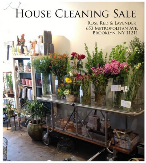 red rose lavender sale gardening plants williamsburg greenpoint brooklyn