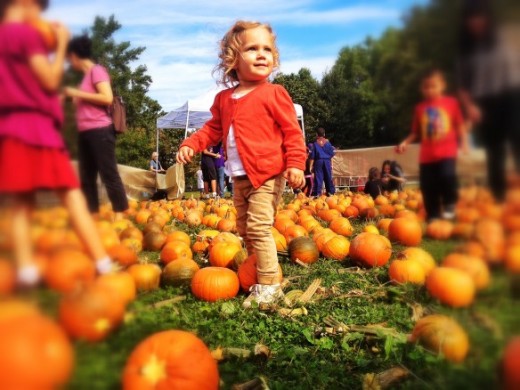 mccarren park october pumpkin patch farmers market