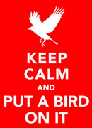 keep calm and put a bird on it greenpoint great backyard bird count