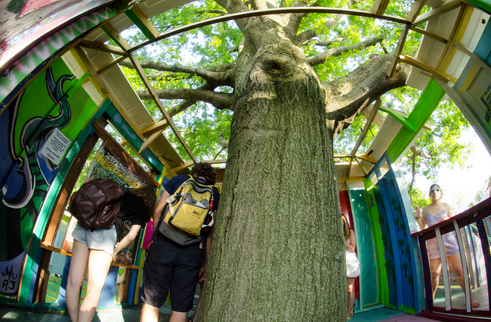 treehouse governors island