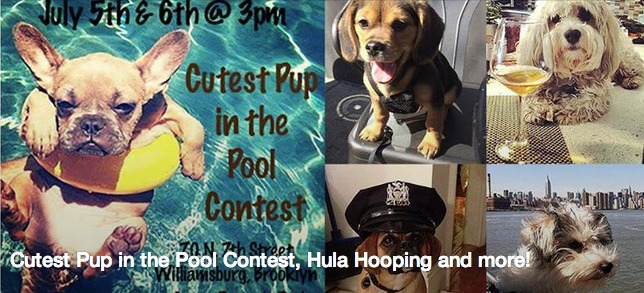 artists and fleas cutest pup in the pool contest